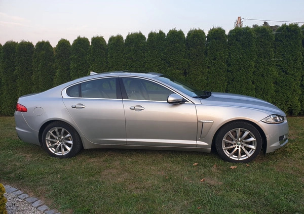 Jaguar XF cena 58000 przebieg: 65000, rok produkcji 2013 z Rzeszów małe 254